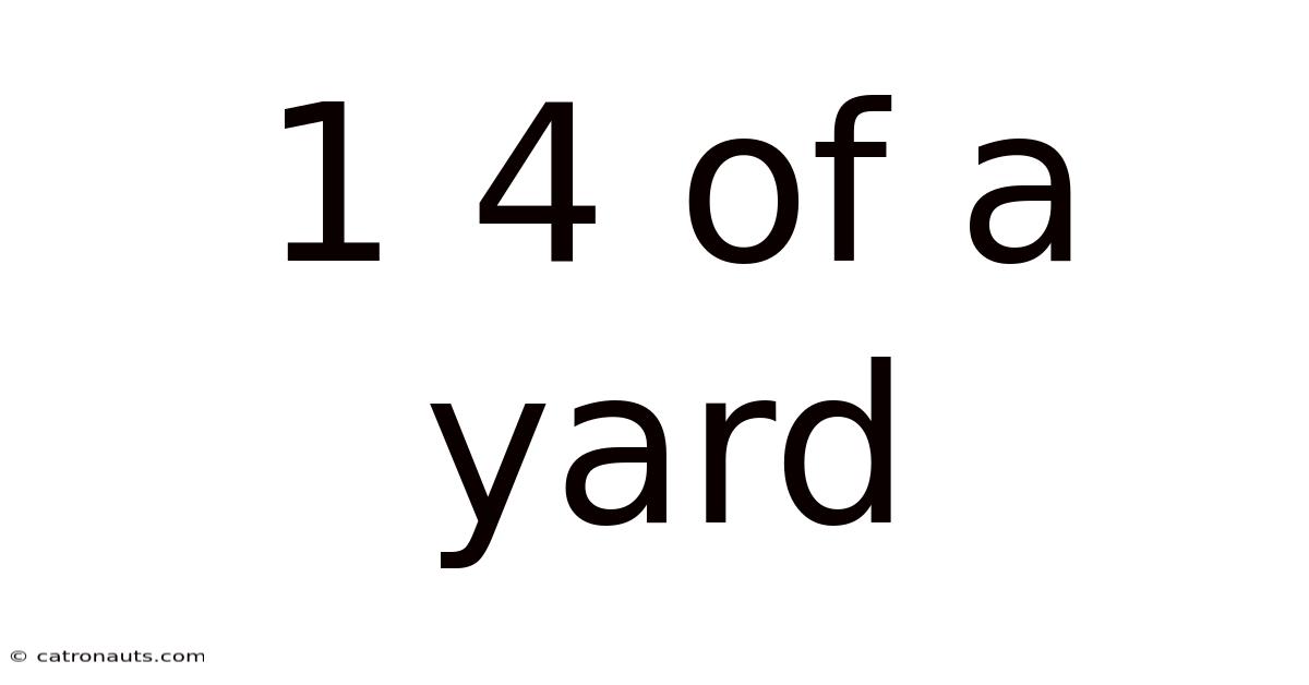 1 4 Of A Yard