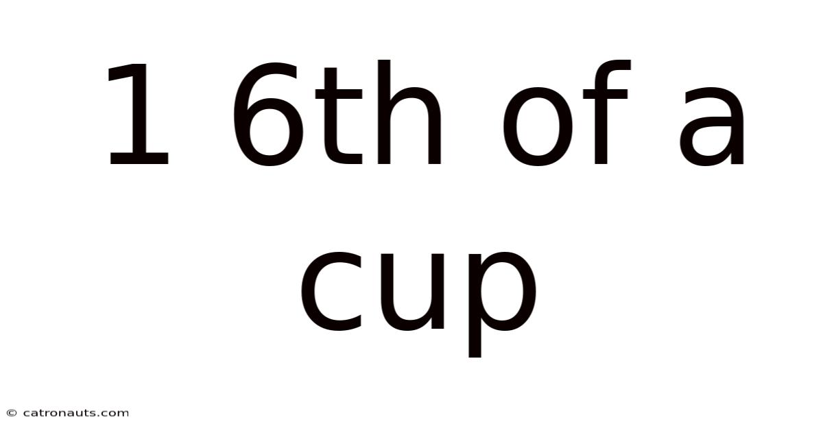 1 6th Of A Cup
