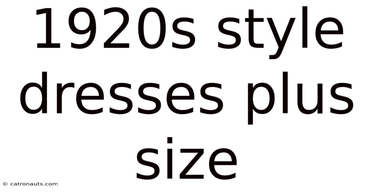 1920s Style Dresses Plus Size