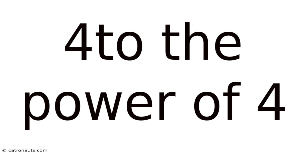 4to The Power Of 4
