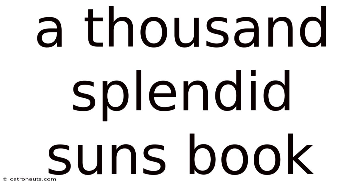 A Thousand Splendid Suns Book
