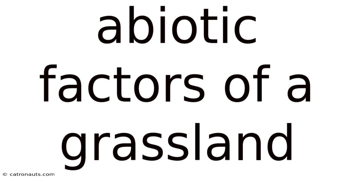 Abiotic Factors Of A Grassland
