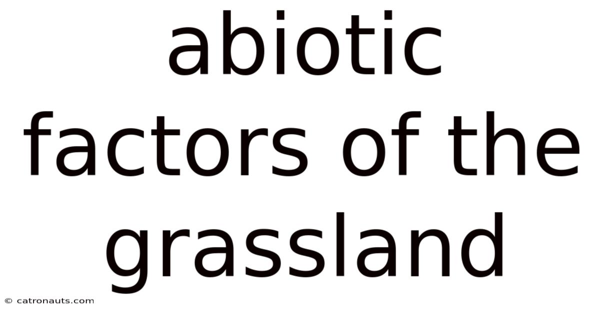Abiotic Factors Of The Grassland