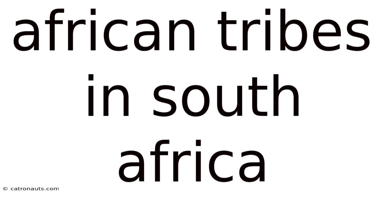 African Tribes In South Africa