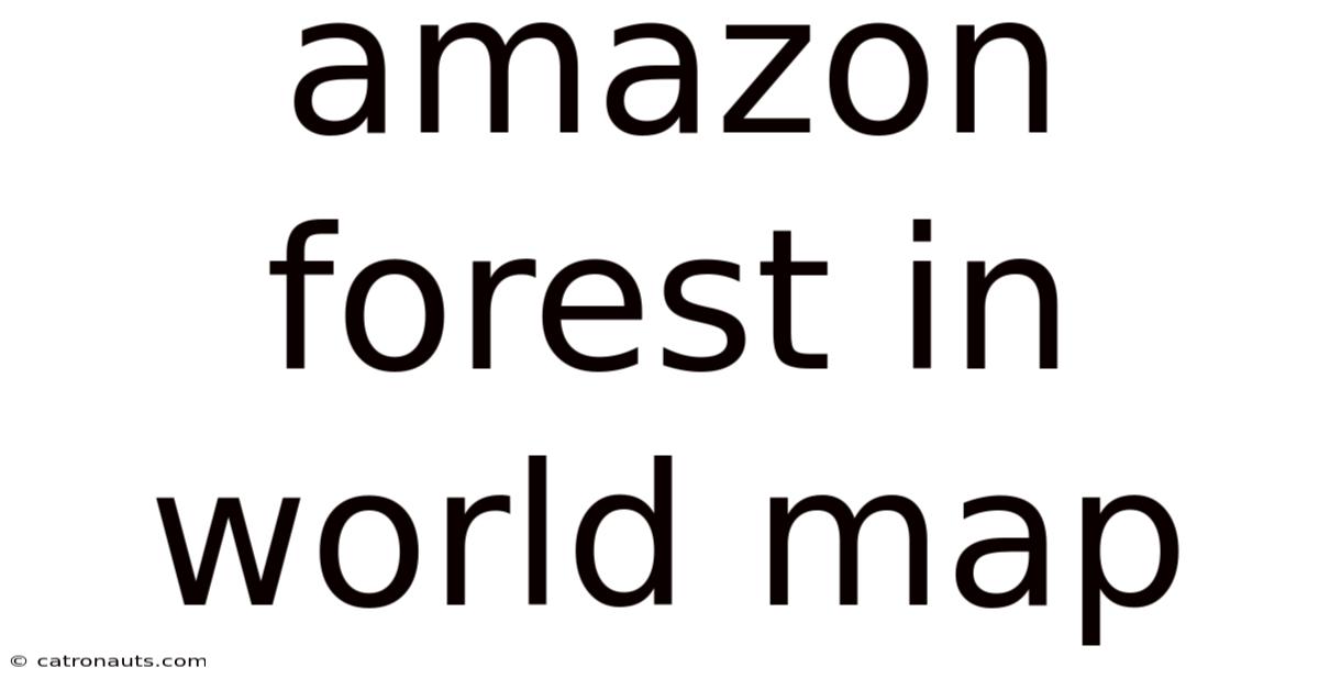 Amazon Forest In World Map