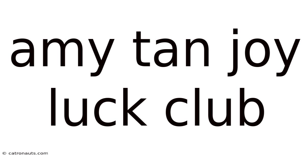 Amy Tan Joy Luck Club