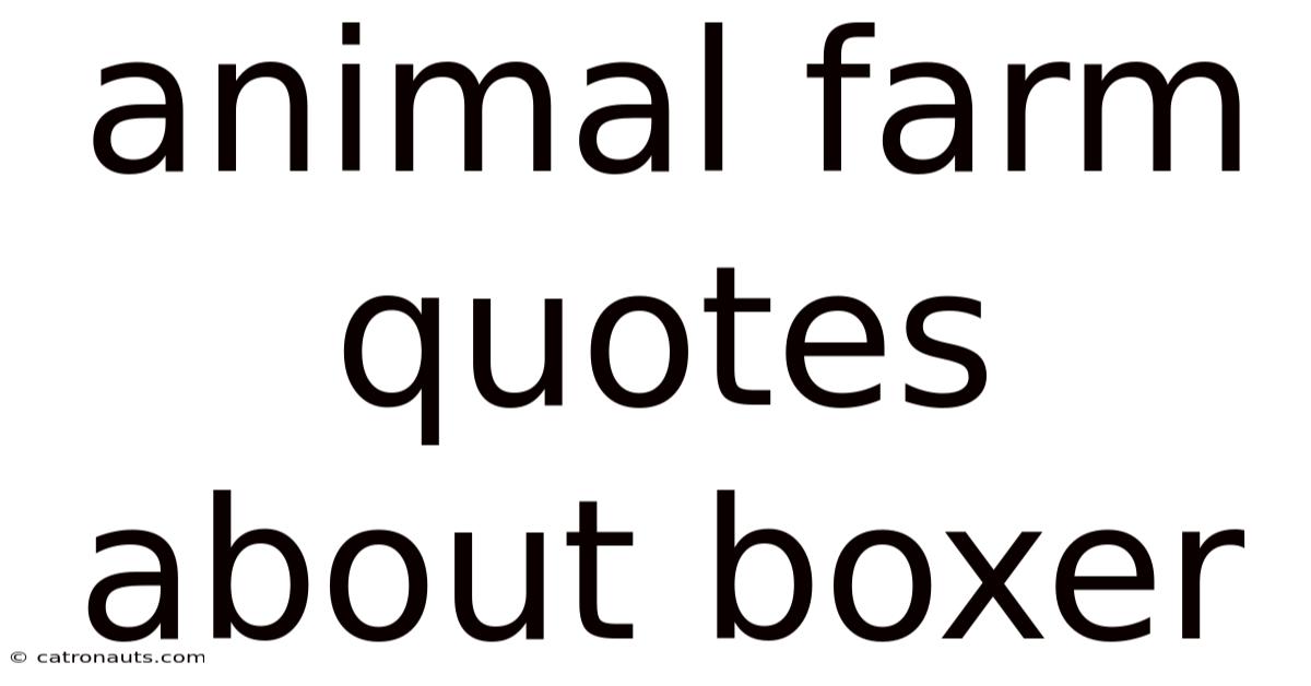 Animal Farm Quotes About Boxer