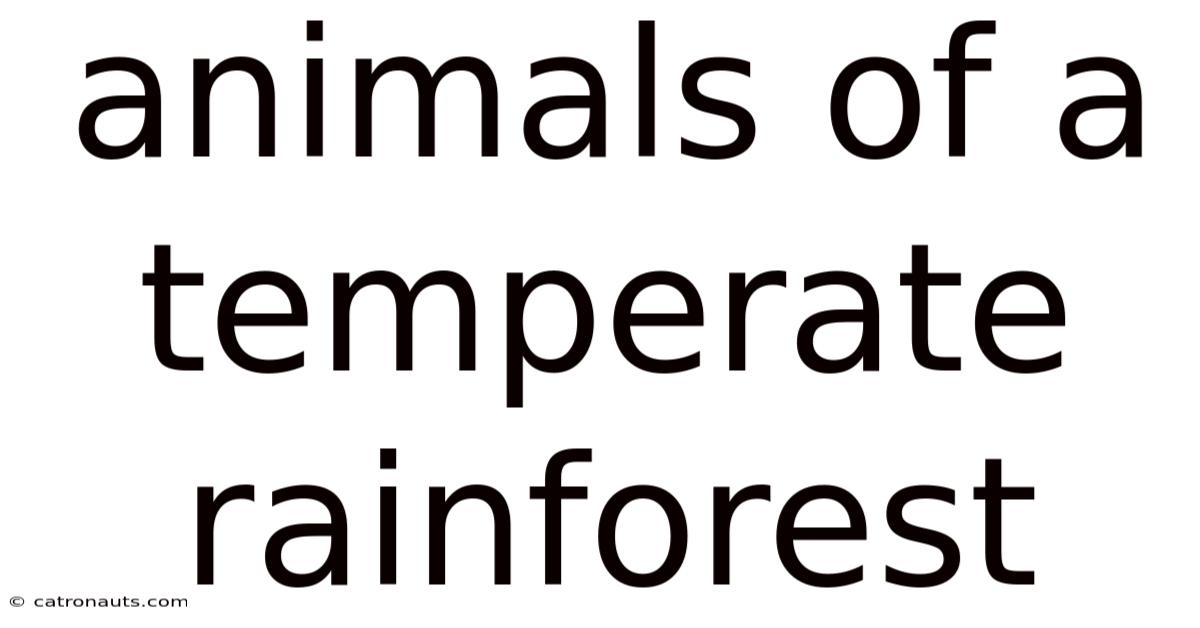 Animals Of A Temperate Rainforest