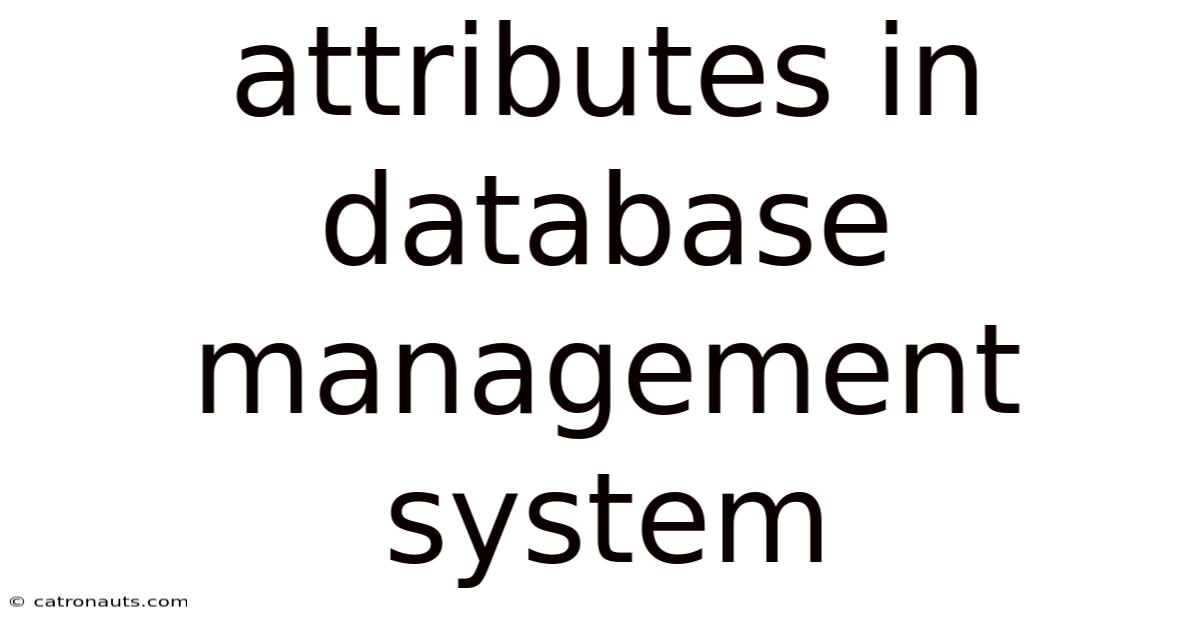 Attributes In Database Management System