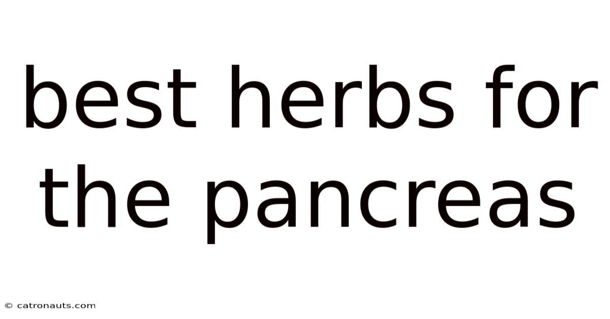 Best Herbs For The Pancreas