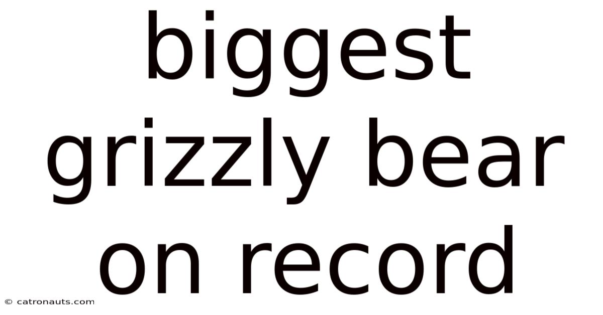 Biggest Grizzly Bear On Record