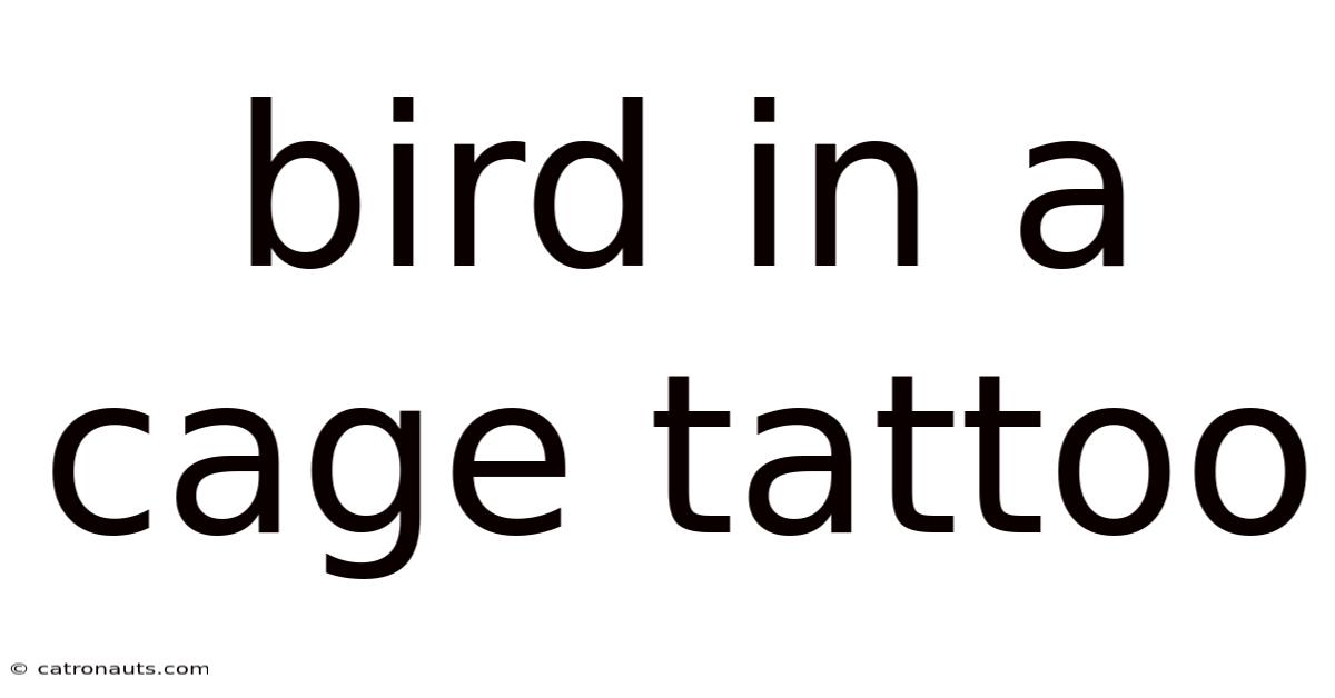 Bird In A Cage Tattoo