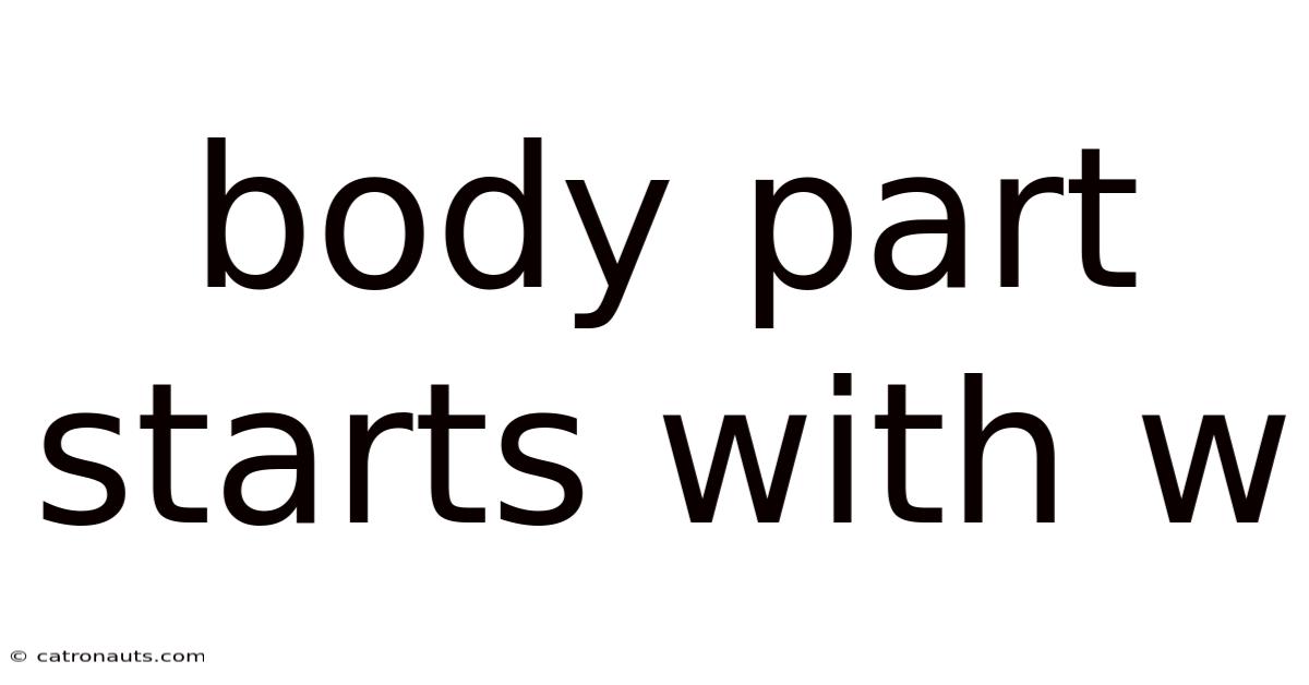 Body Part Starts With W