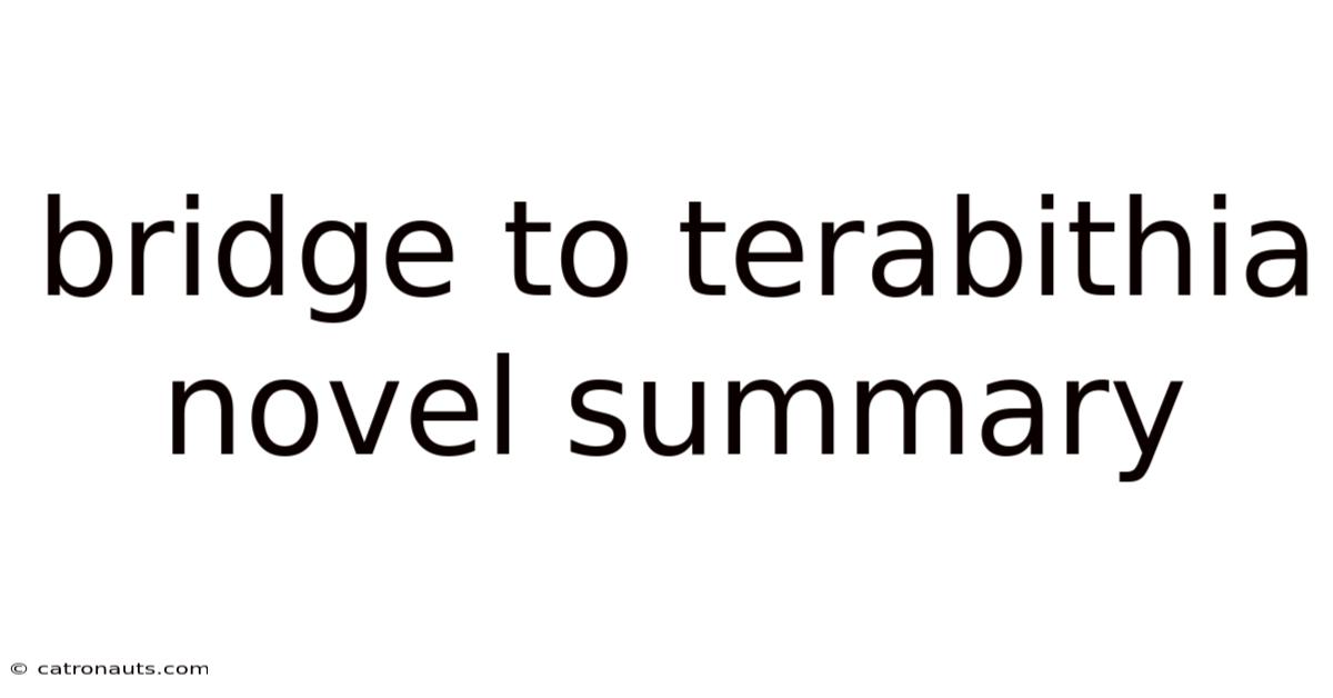Bridge To Terabithia Novel Summary