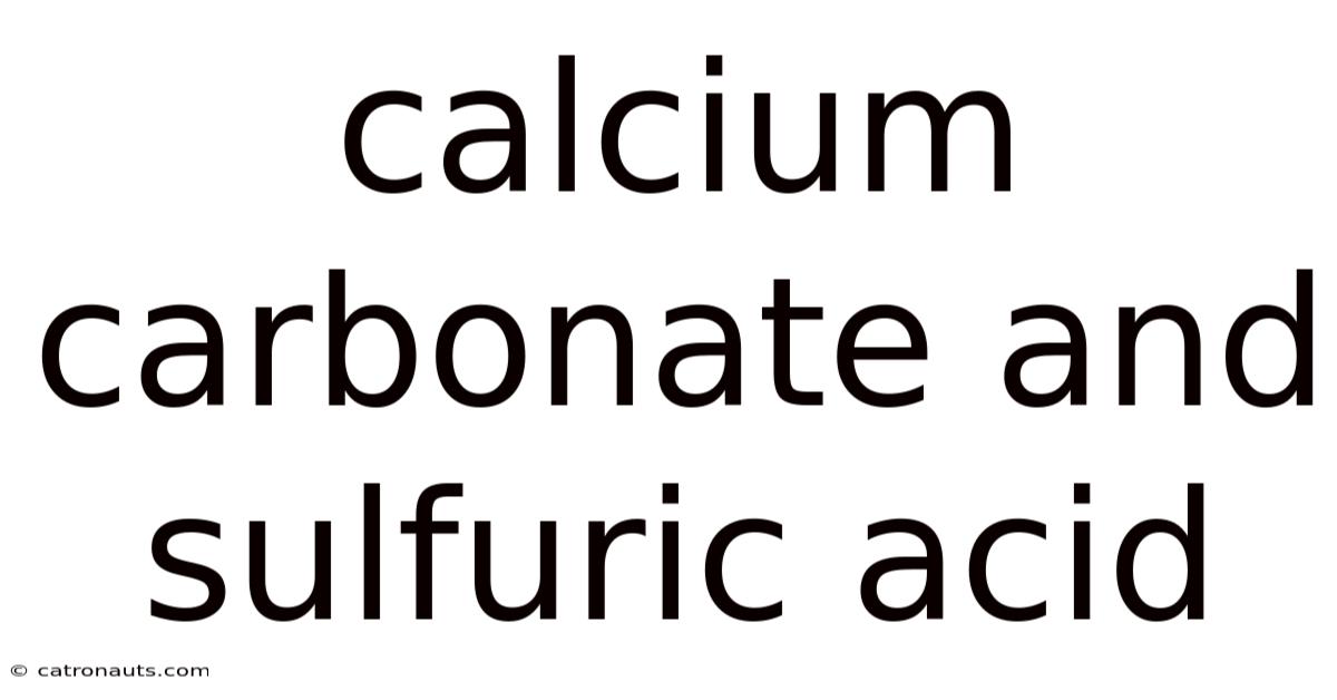 Calcium Carbonate And Sulfuric Acid