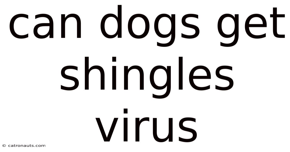 Can Dogs Get Shingles Virus