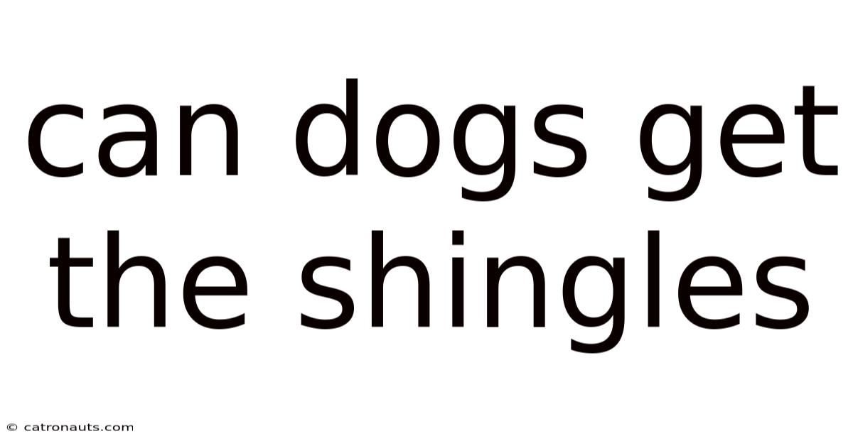 Can Dogs Get The Shingles