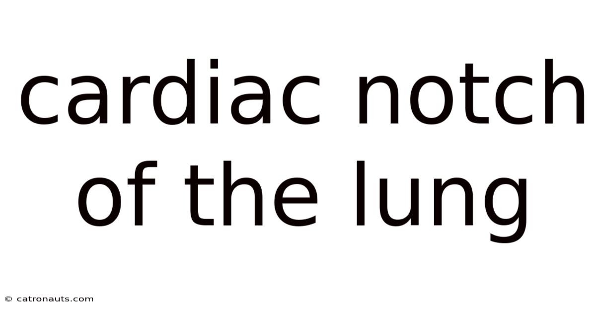 Cardiac Notch Of The Lung