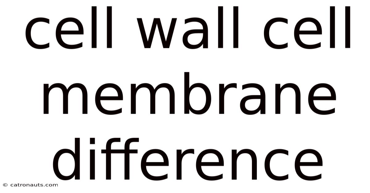 Cell Wall Cell Membrane Difference