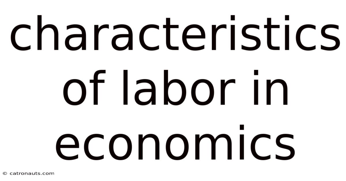 Characteristics Of Labor In Economics