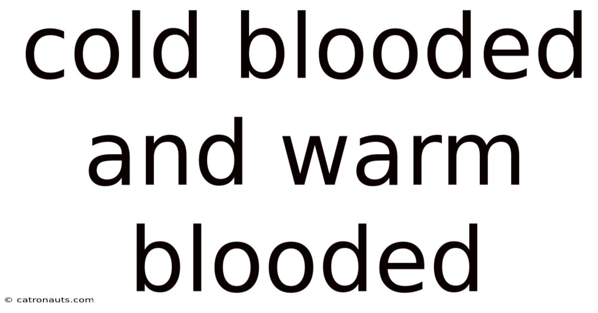 Cold Blooded And Warm Blooded