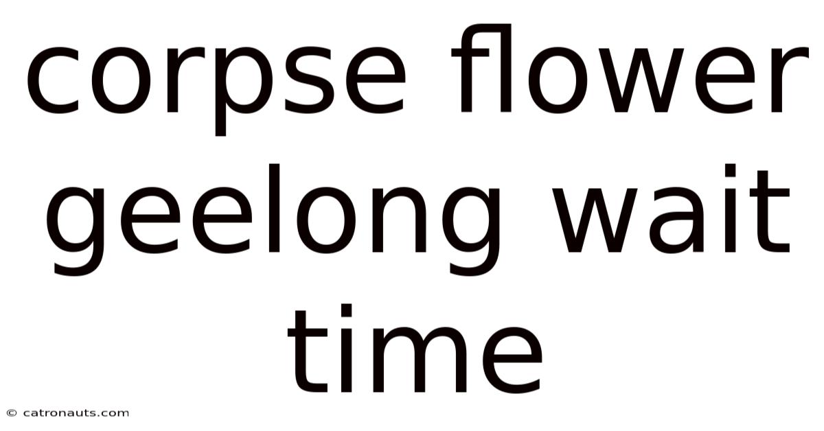 Corpse Flower Geelong Wait Time