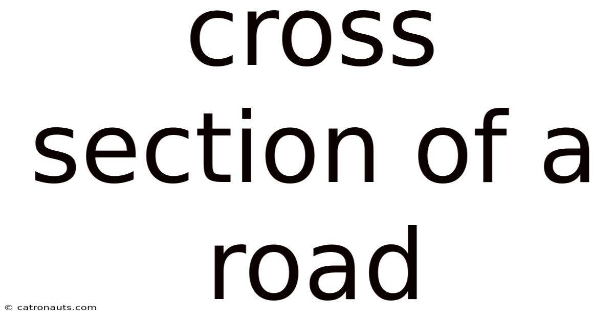 Cross Section Of A Road