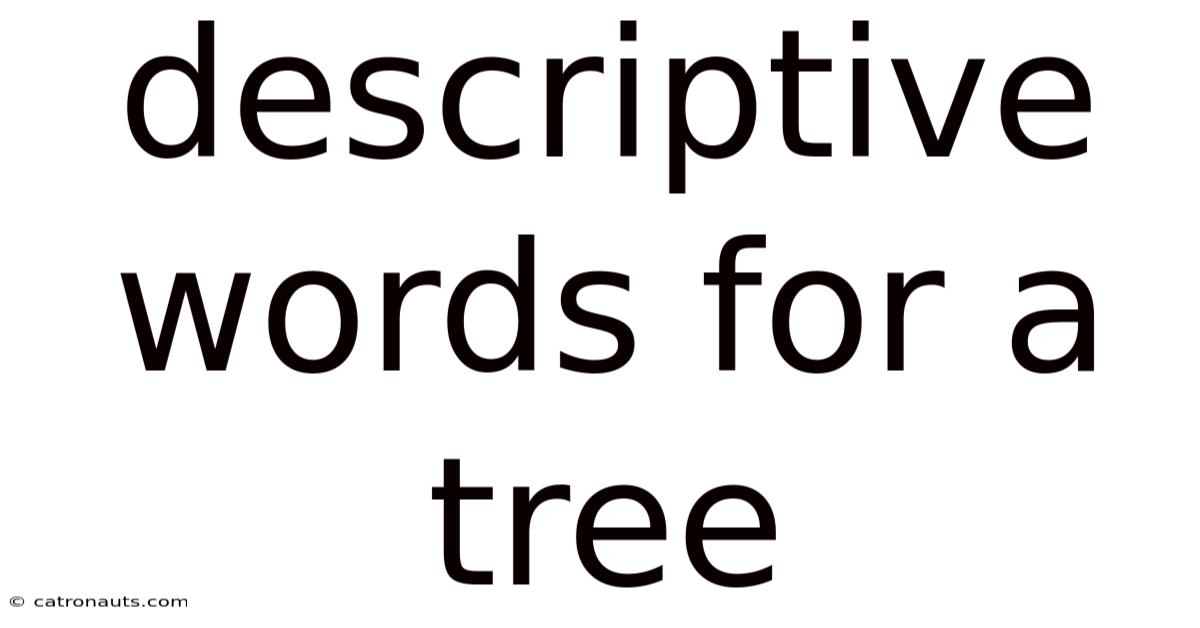 Descriptive Words For A Tree