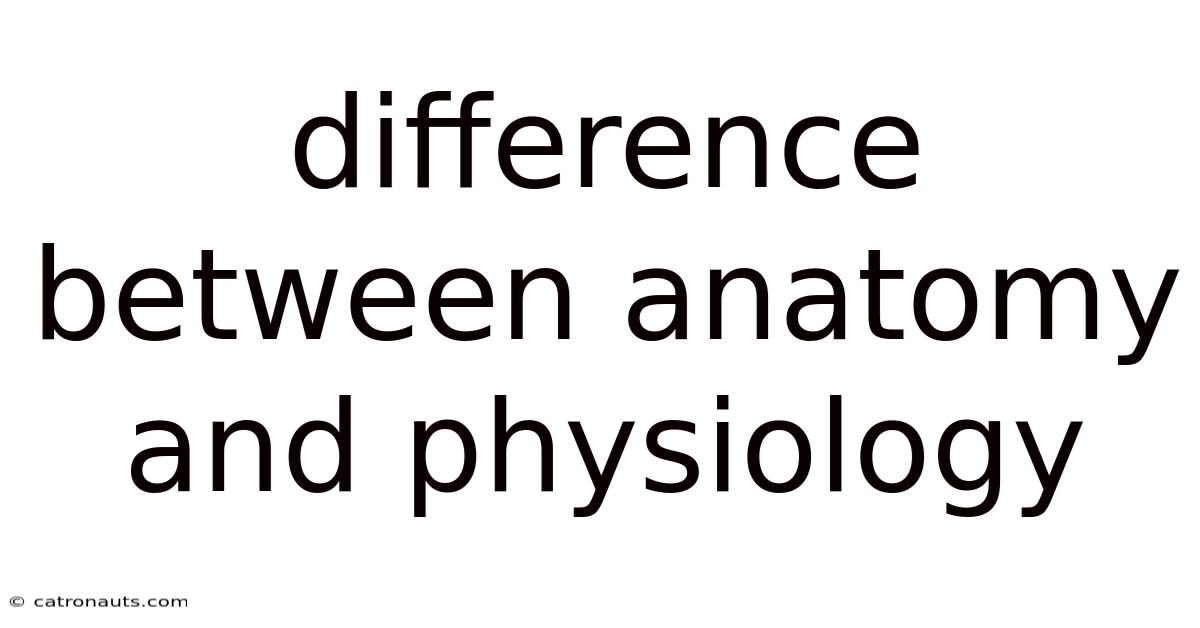 Difference Between Anatomy And Physiology