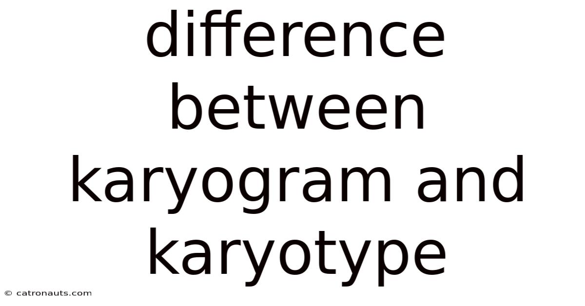 Difference Between Karyogram And Karyotype