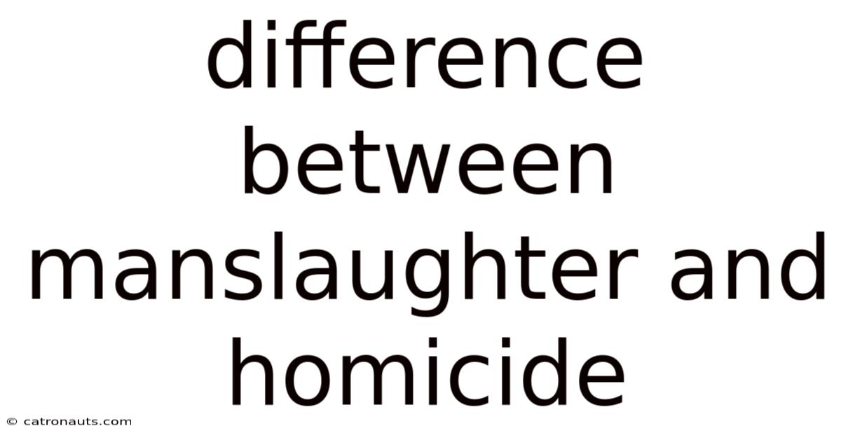 Difference Between Manslaughter And Homicide