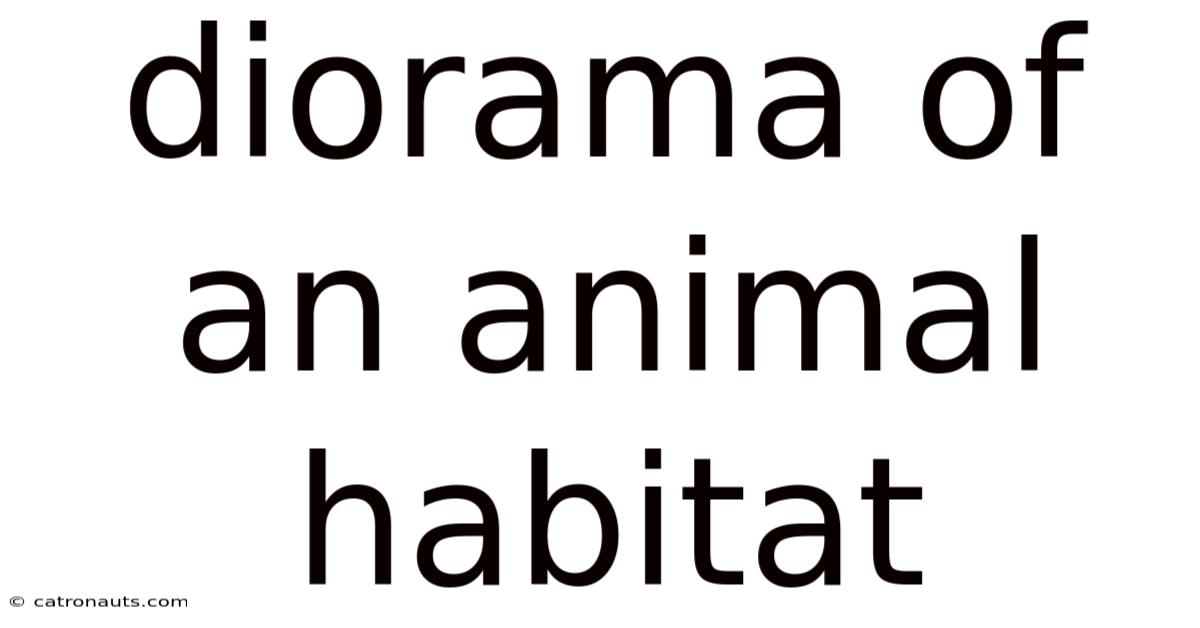 Diorama Of An Animal Habitat