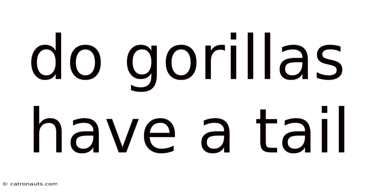 Do Gorillas Have A Tail
