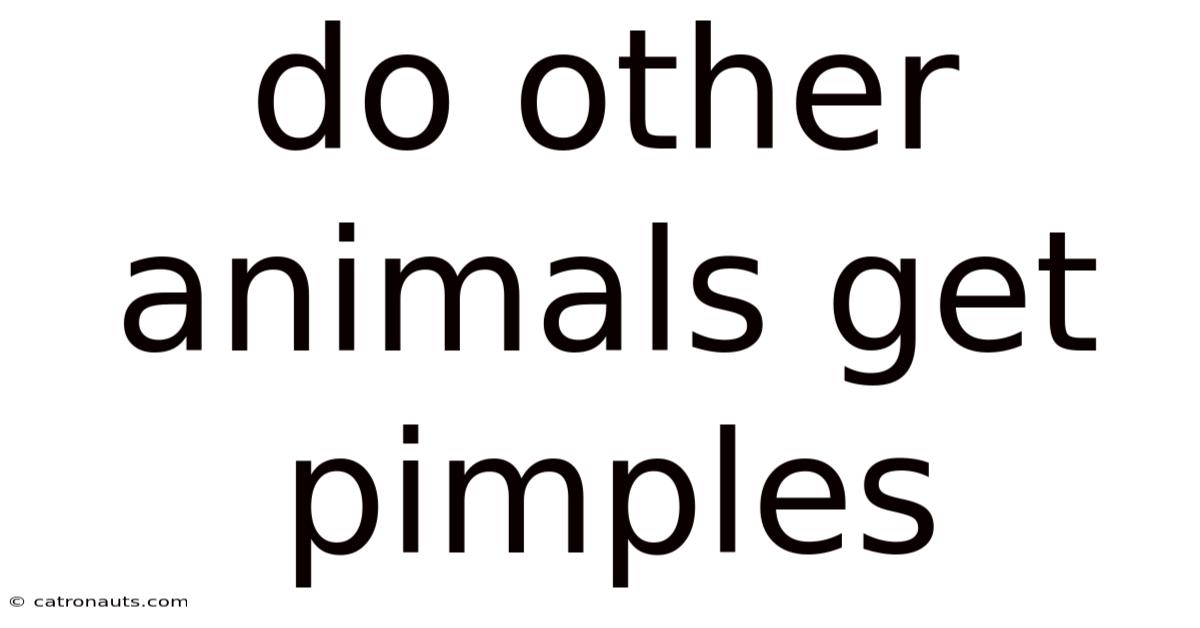 Do Other Animals Get Pimples