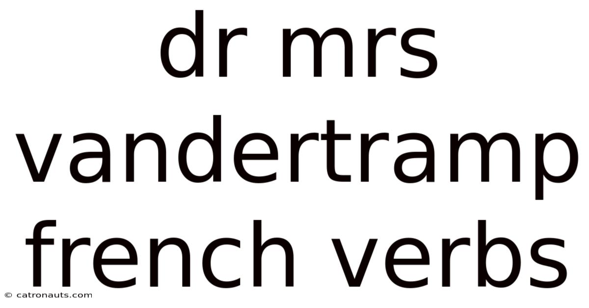 Dr Mrs Vandertramp French Verbs