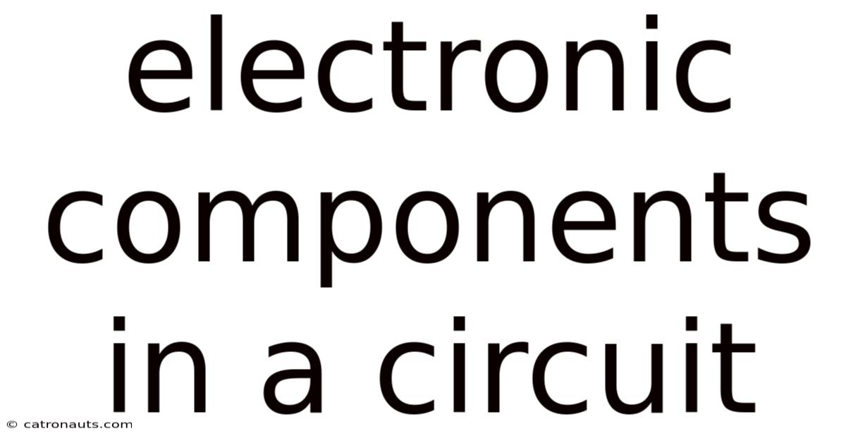 Electronic Components In A Circuit