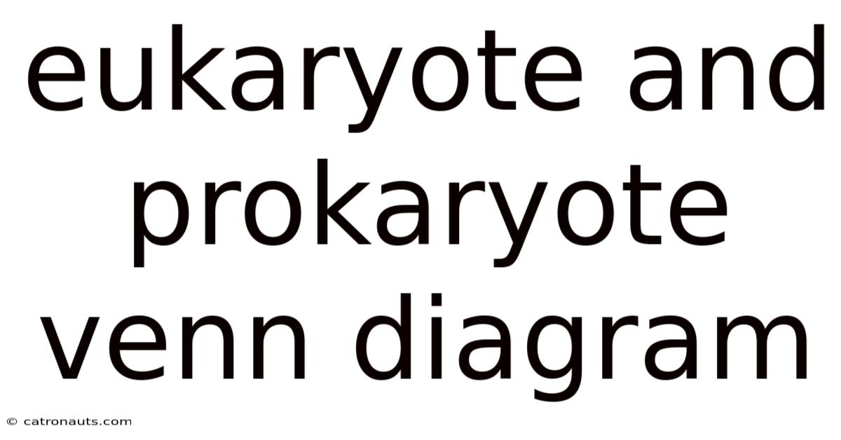 Eukaryote And Prokaryote Venn Diagram