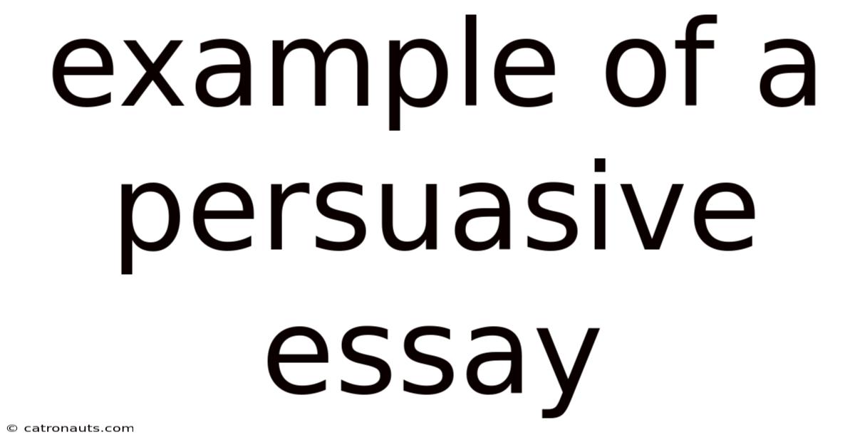 Example Of A Persuasive Essay