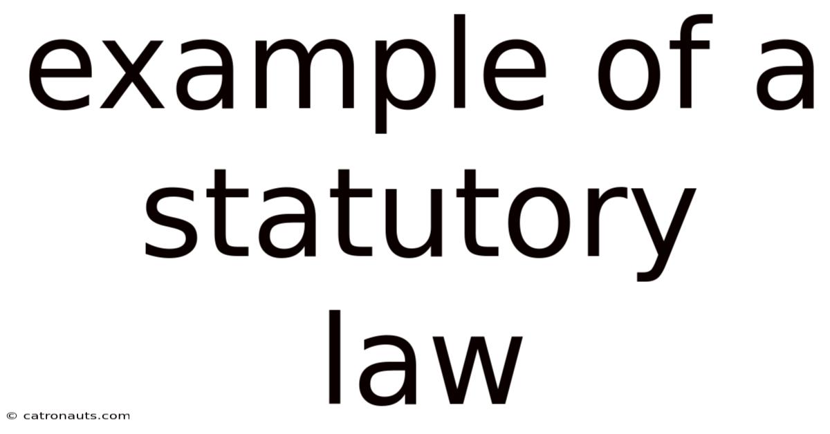 Example Of A Statutory Law