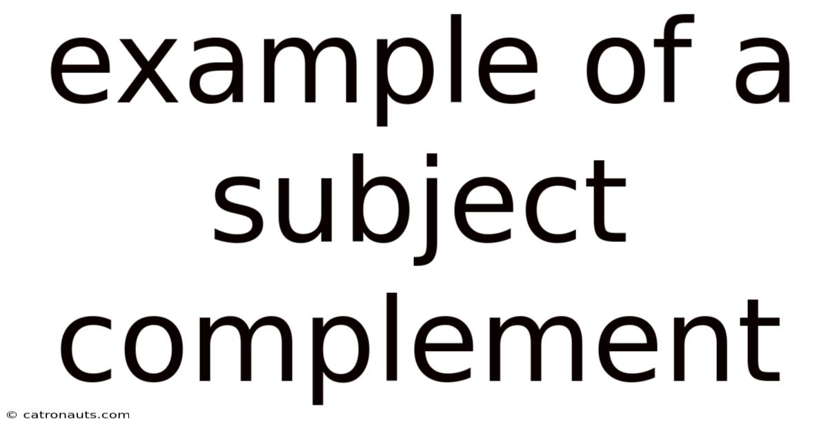 Example Of A Subject Complement