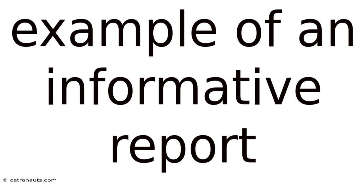 Example Of An Informative Report