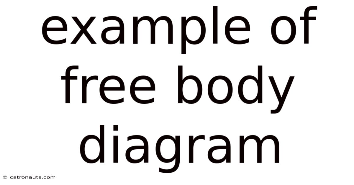 Example Of Free Body Diagram