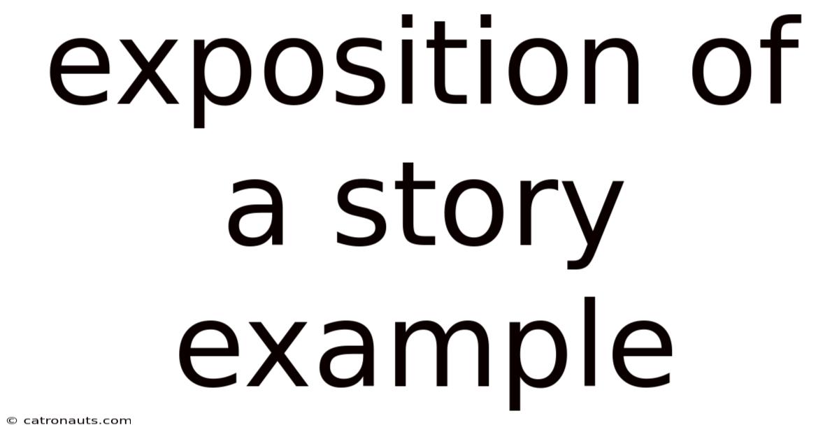 Exposition Of A Story Example