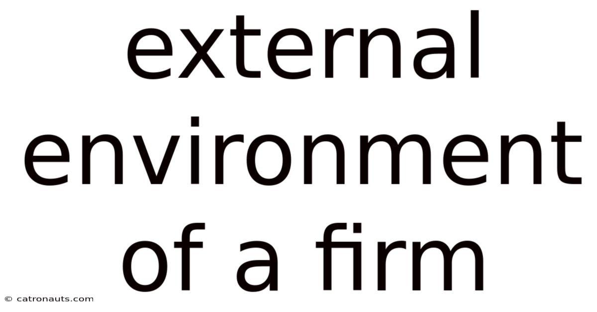 External Environment Of A Firm