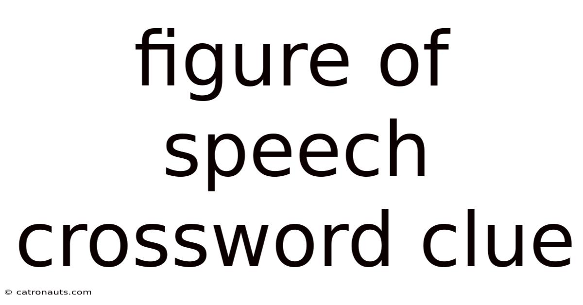 Figure Of Speech Crossword Clue