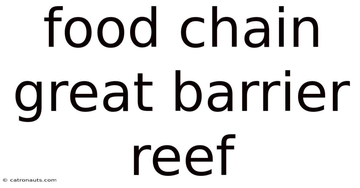 Food Chain Great Barrier Reef