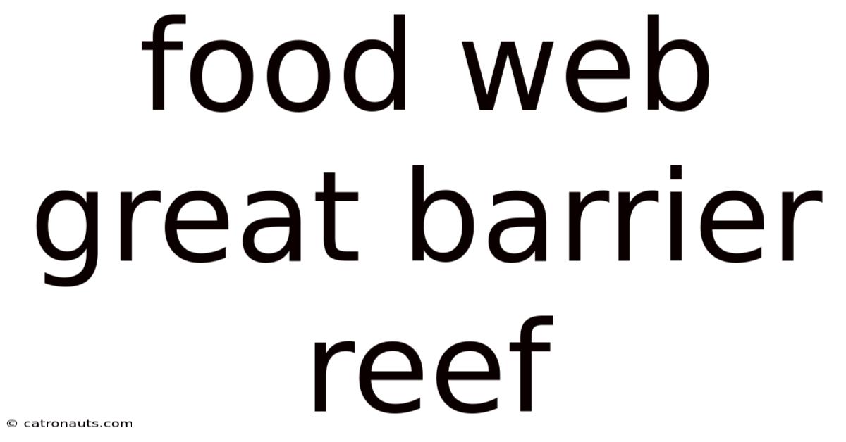 Food Web Great Barrier Reef