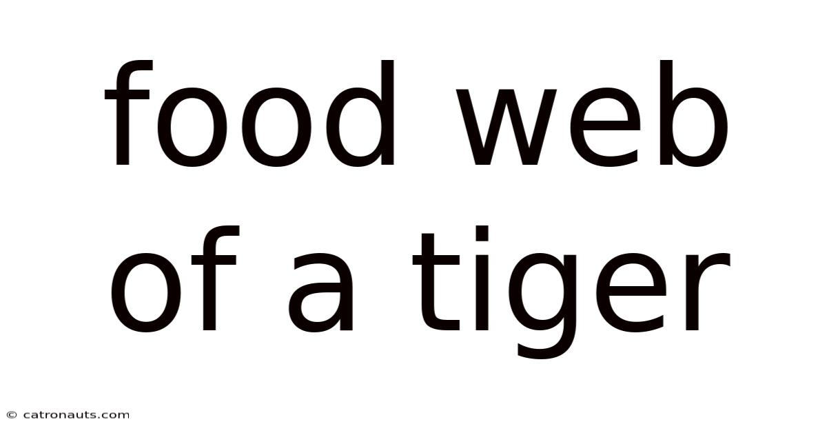Food Web Of A Tiger