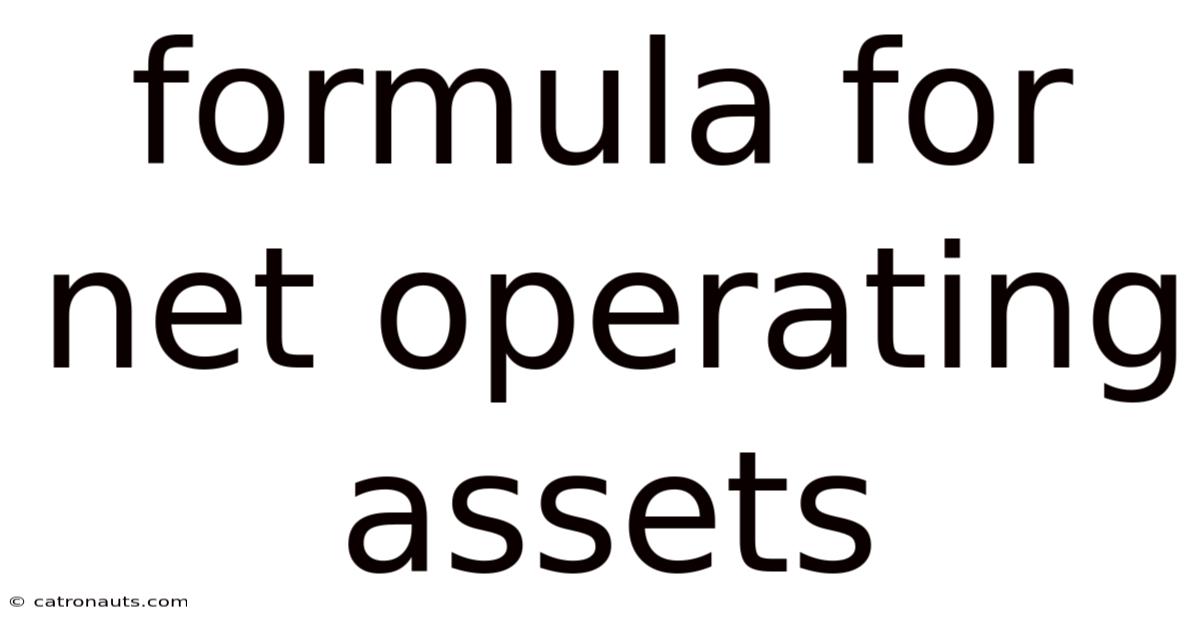 Formula For Net Operating Assets