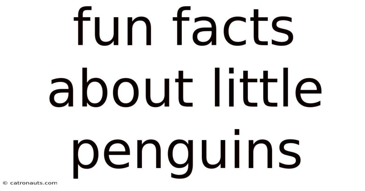 Fun Facts About Little Penguins